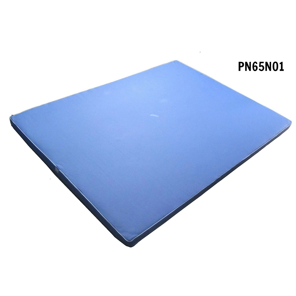 Nệm tập vật lý trị liệu PN65N01 